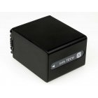 Accu-voor-Sony-Type-NP-FH100-3150mAh