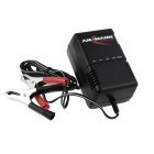 Lader ANSMANN voor Auto, step, motoraccu lood Accu 2V-24V Lader ANSMANN voor Auto, step, motoraccu lood Accu 2V-24V