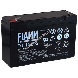 FIAMM Loodbatterij FG11202 Vds