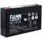 FIAMM Loodbatterij FG10721