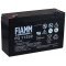 FIAMM Loodbatterij FG11202 Vds