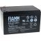 FIAMM Loodaccu FG21202 Vds