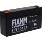 FIAMM Loodaccumulator FG10121
