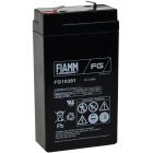 FIAMM Loodaccu FG10381 6V 3,8Ah