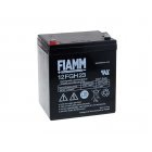 FIAMM Loodbatterij FGH20502 12FGH23 (hoge stroomsterktebestendig)