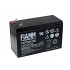 FIAMM Loodbatterij FGH20902 12FGH36 (hoge stroomsterktebestendig)